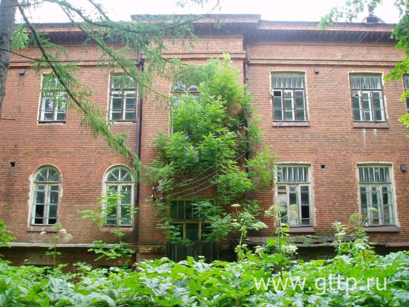 Фрагмент задника главного корпуса школы-колонии в посёлке Волжском, фото Галины Филимоновой. 