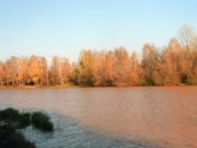 Речка Параша, фото Галины Филимоновой
