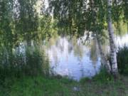 Речка Параша, фото Кати Наумочкиной