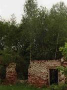 Руины объектов усадебного комплекса Языковых-Шестаковых, фото Галины Филимоновой