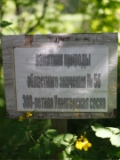 300-летняя Улангерская сосна, табличка памятника природы, фото Антона Афанасьева