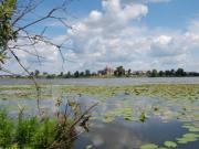 Озеро Нестиары в Воскресенсом районе Нижегородской области, фото предоставлено Диной  Коротаевой