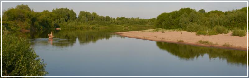Река Мокша около Суморьева, фото Владимира Бакунина