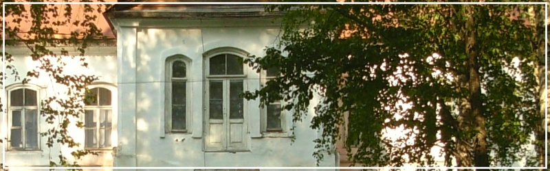 Окна усадьбы Базилевских, фото Елены Припышкиной