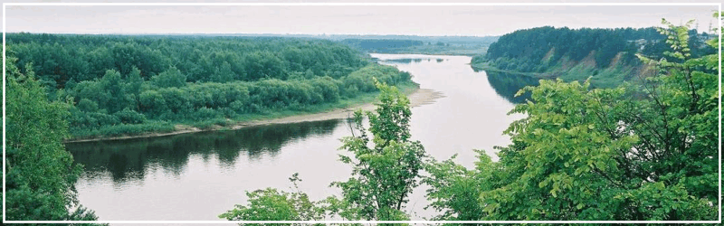 Река Ветлуга в Варнавине, фото предоставлено Галиной Цыгановой